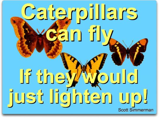 caterpillars and change