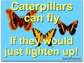 caterpillars and change