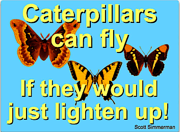 quote on butterflies by Scott Simmerman
