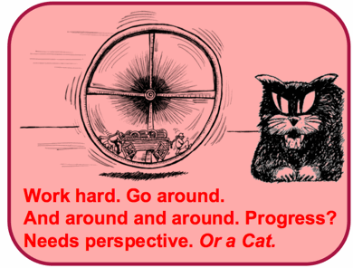 Rat Cage Haiku with Cat