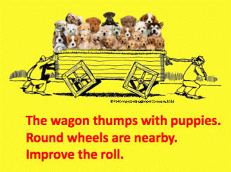 SWs One Puppies haiku improve the roll