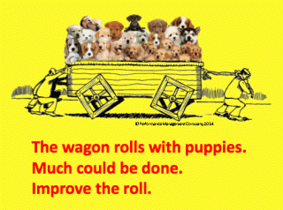 Square Wheels One Puppies haiku Much could be done