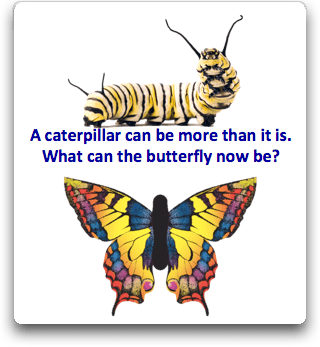 What can the butterfly now be poem