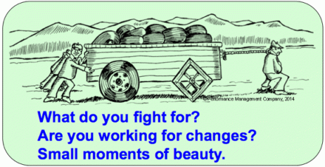 Square Wheels business haiku Intrinsic small moments of beauty haiku 1