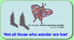 Caterpillar and butterfly illustrated quote on Not all who wander are lost