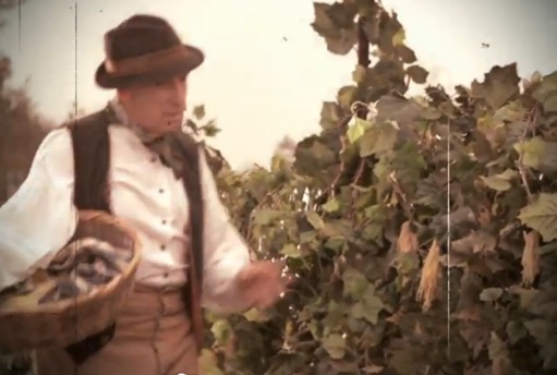 News of the Italian Spagetti Harvest