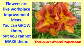 Square Wheels thoughts on business improvement